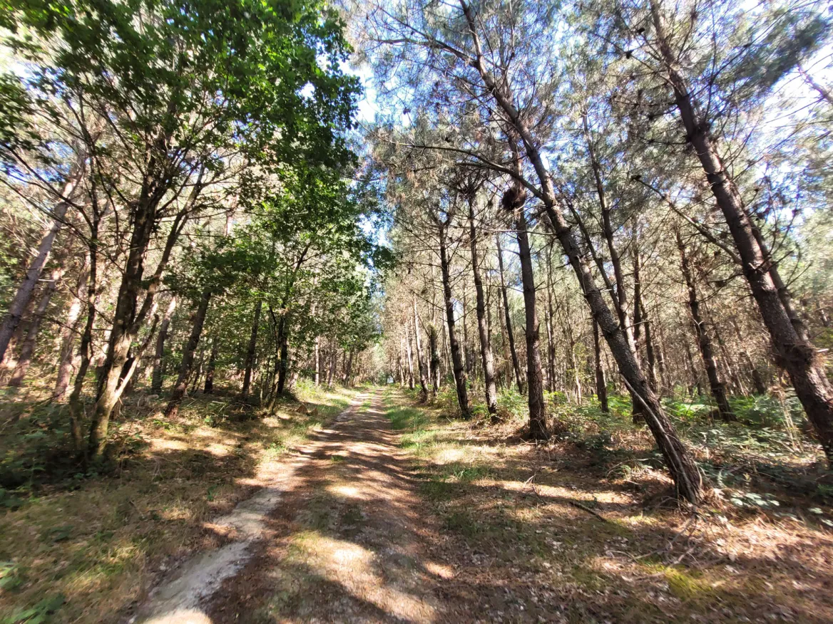 The Meulières Trail