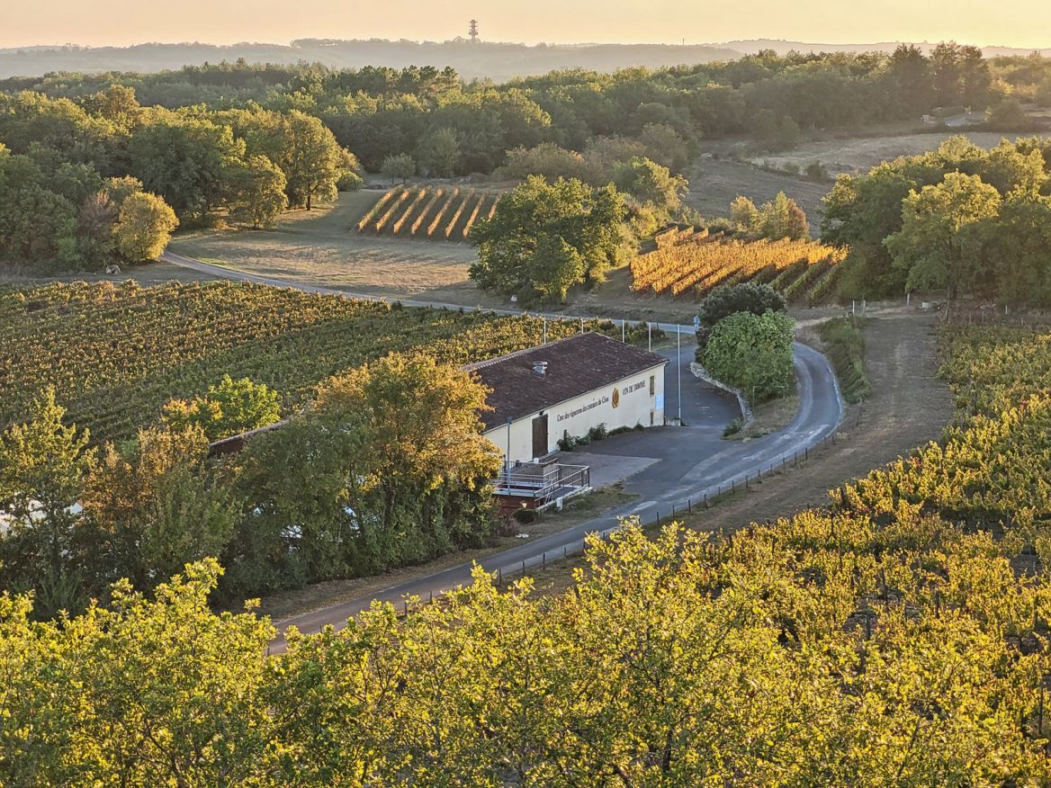 Tour of Moncalou Domme wine cellar