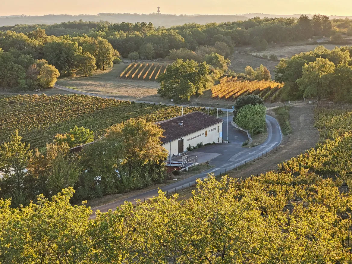 Tour of Moncalou Domme wine cellar