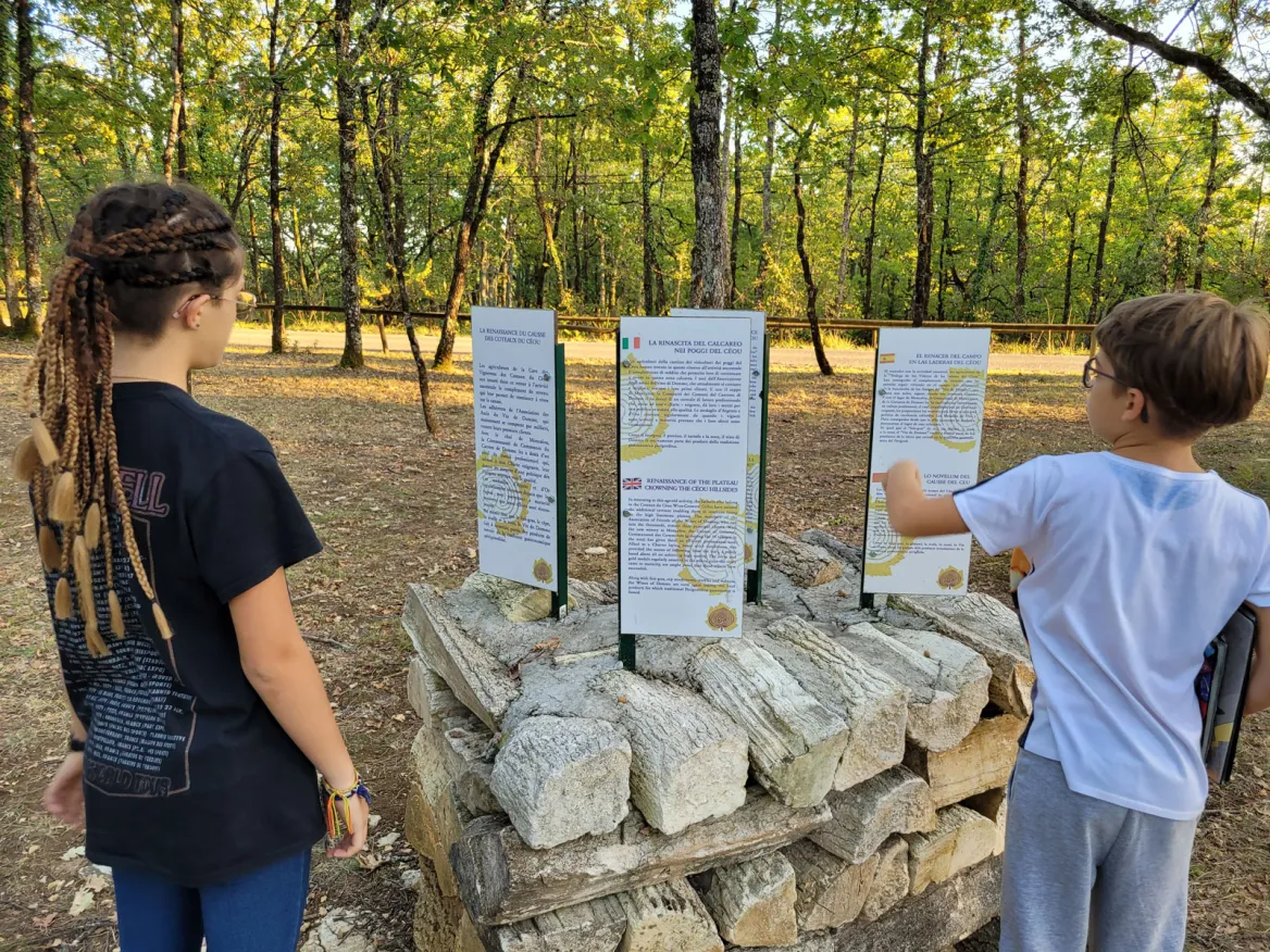 interpretive panels