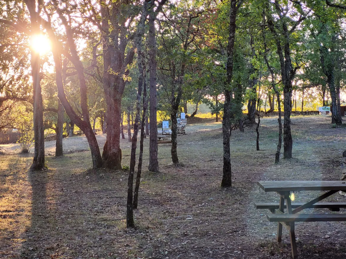 picnic tables