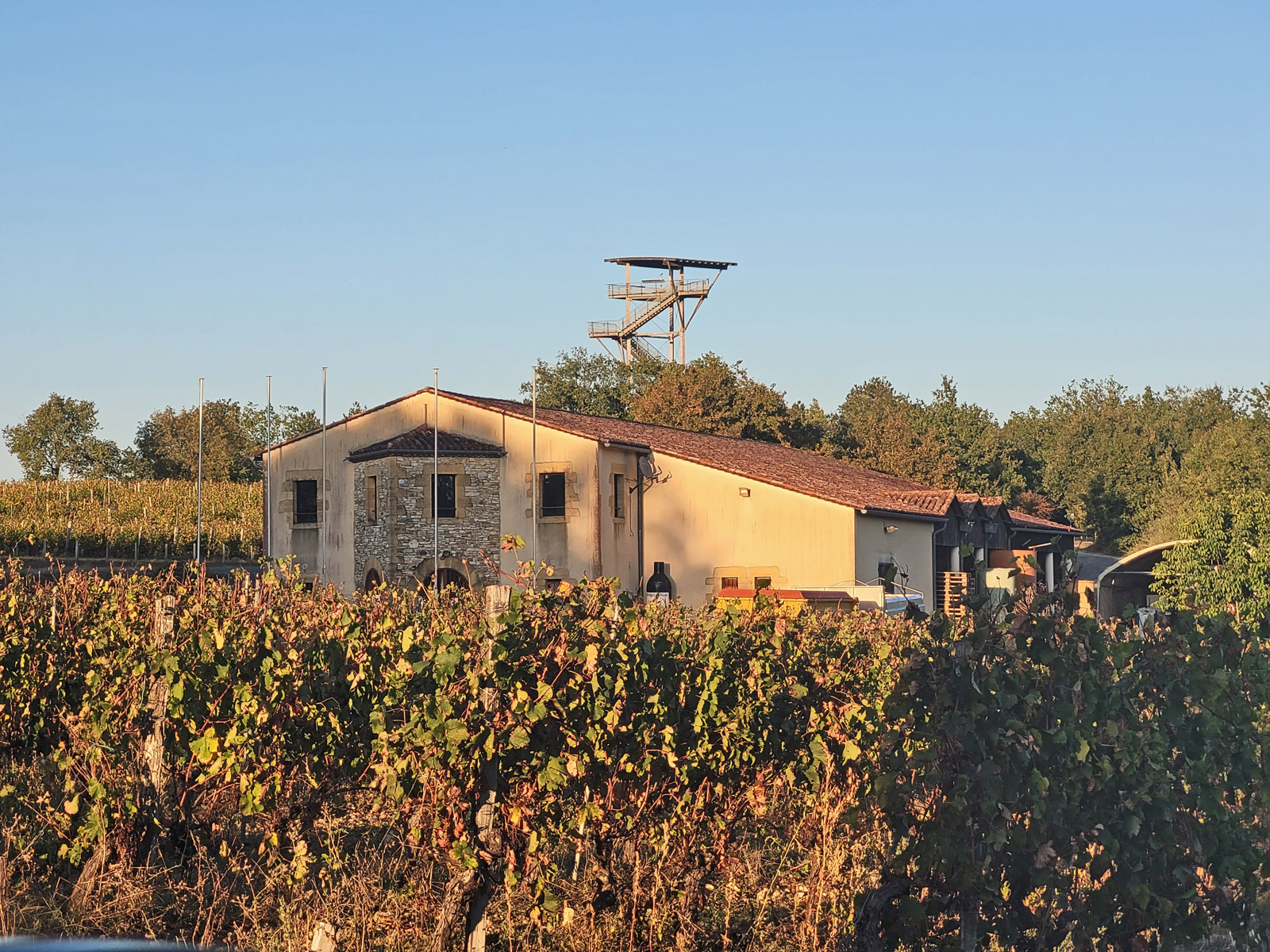 Panoramic tour of Moncalou and winery