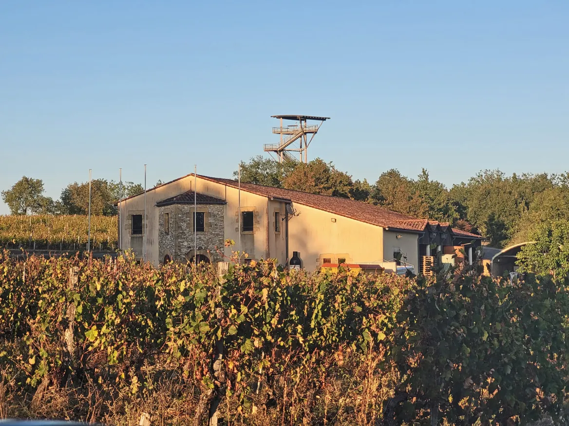 Panoramic tour of Moncalou and winery