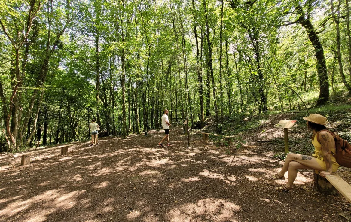 Clairière Le Sentier des Fontaines