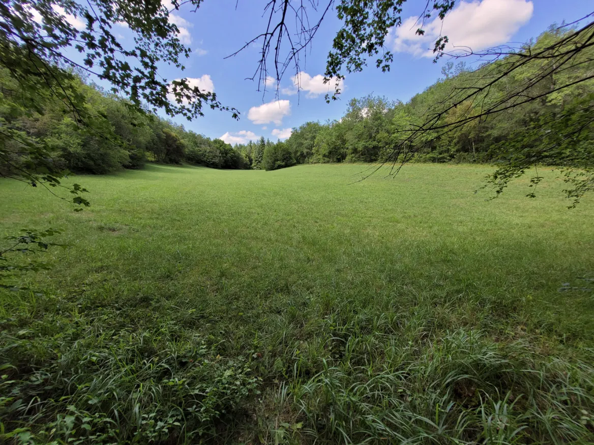 Le Sentier des Fontaines pelouse