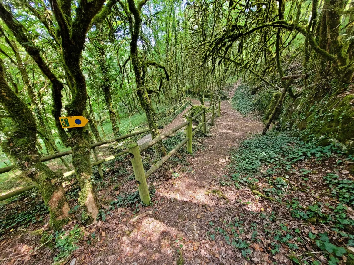 Sources Le Sentier des Fontaines