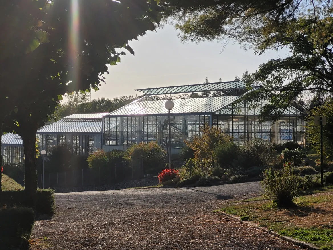 City of Clairvivre, the greenhouse