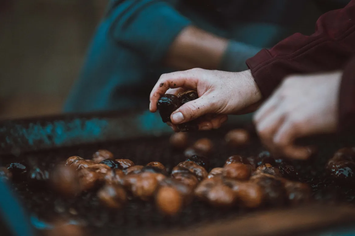 The Lander Walnut Groves