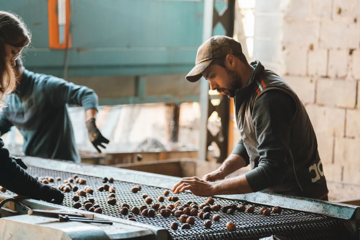 The Lander Walnut Groves