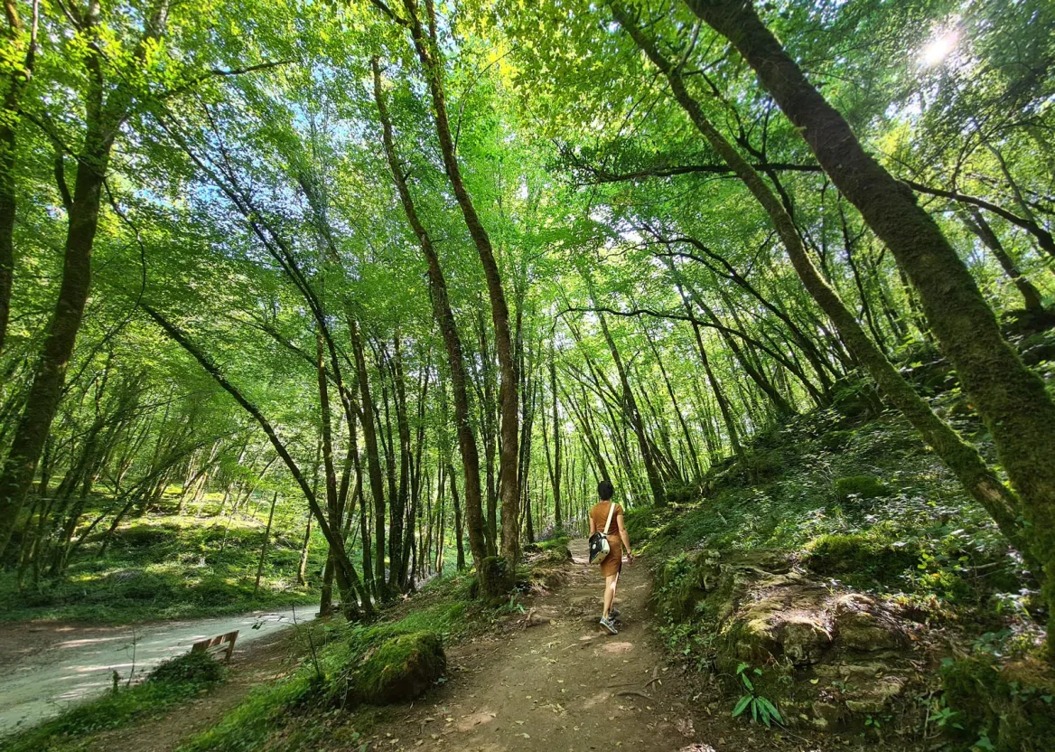 Path to go to the Château de Commarque