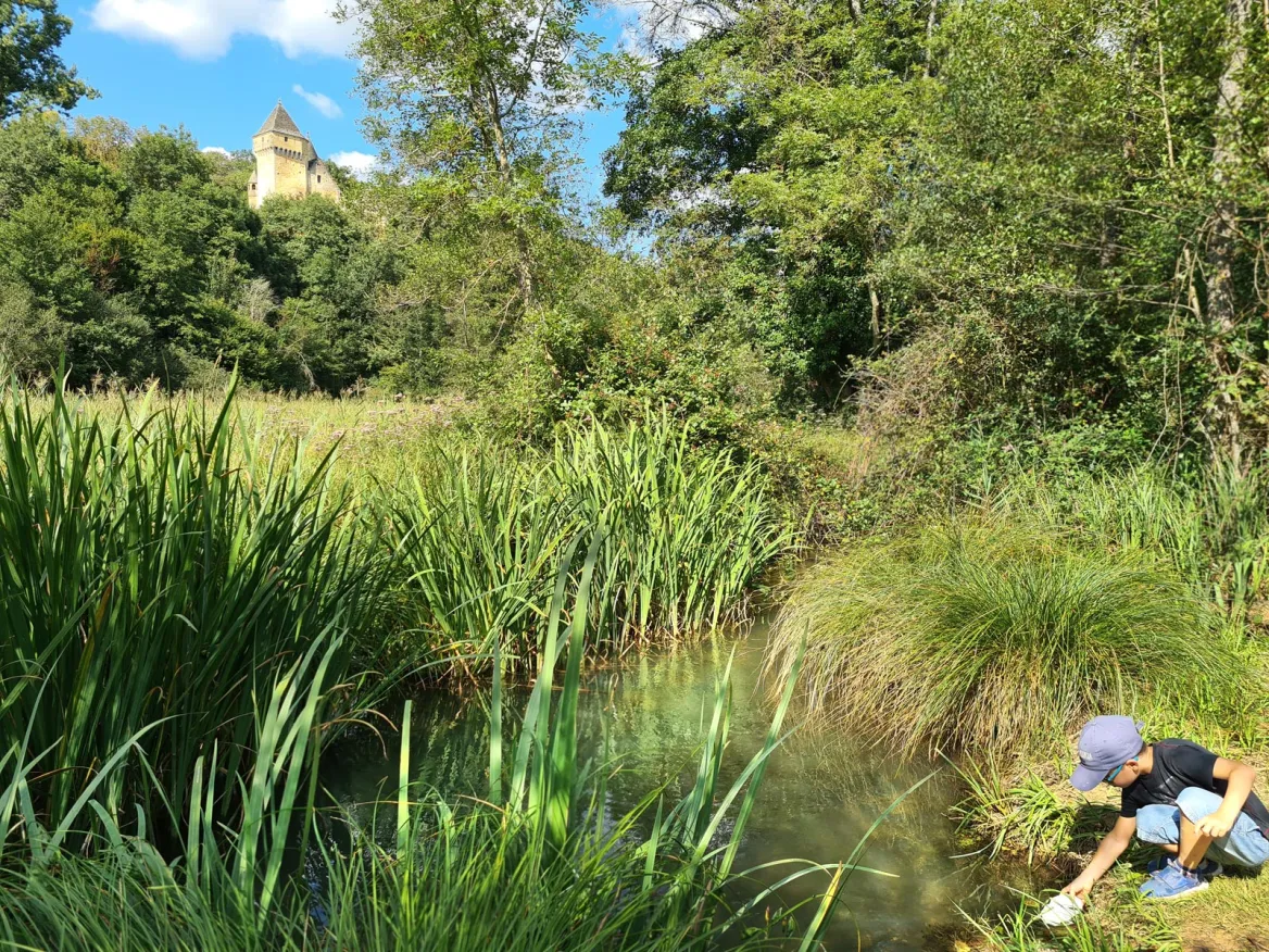 Clearing in front of the castle