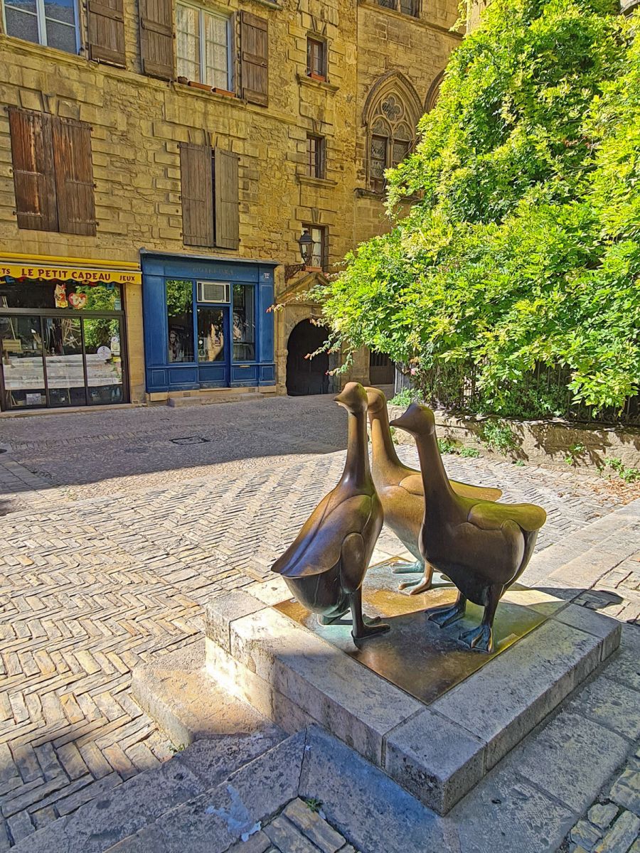 The geese of Sarlat
