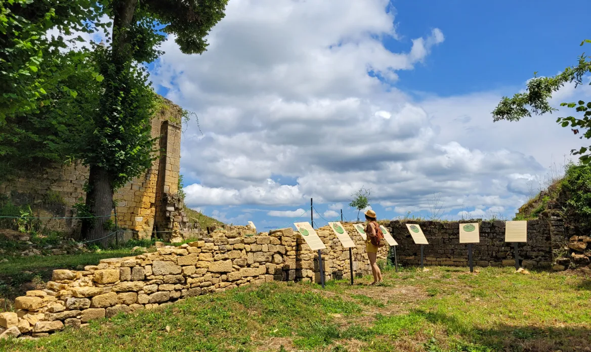 Le Château de Salignac