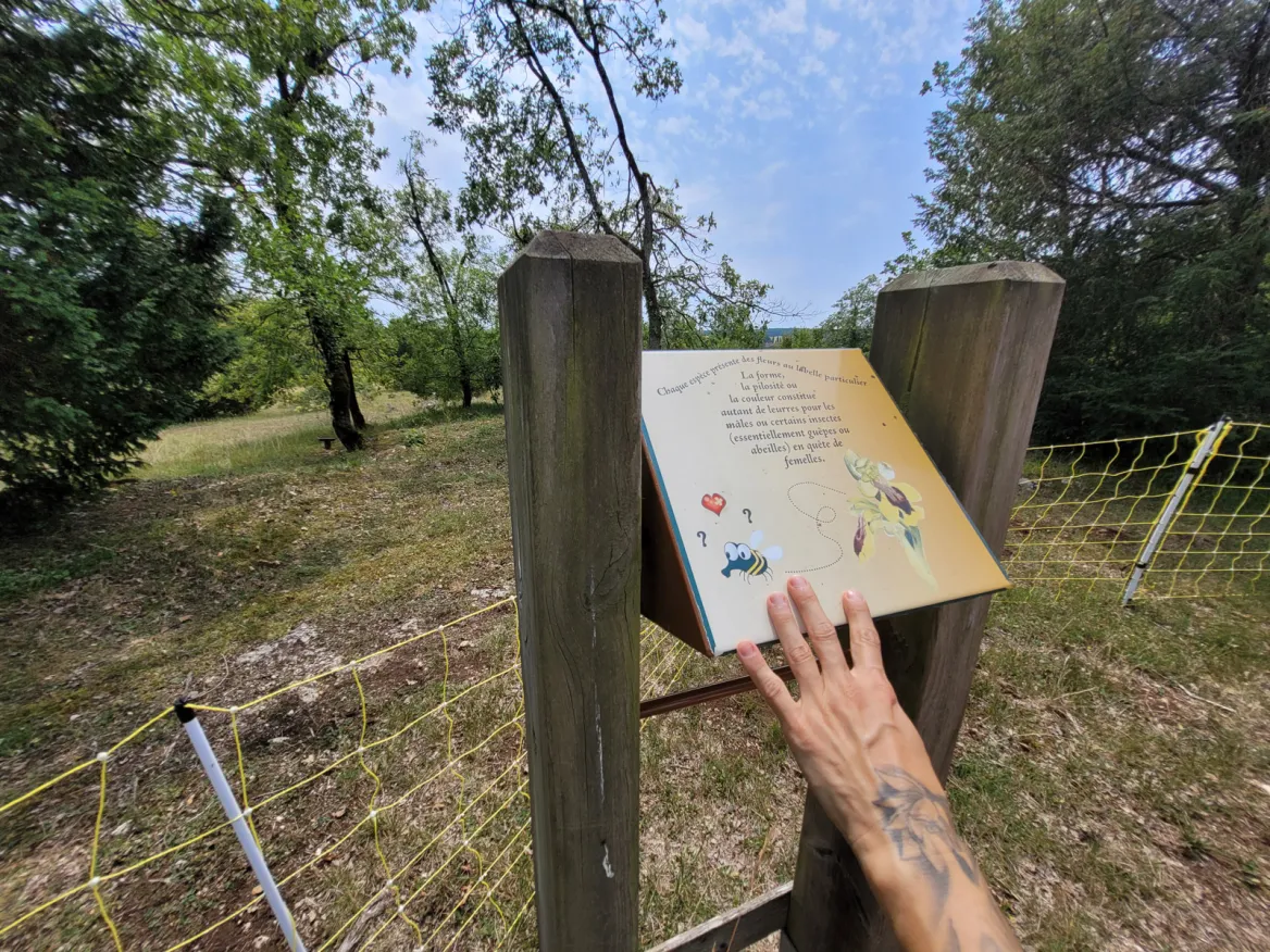 White lands panel