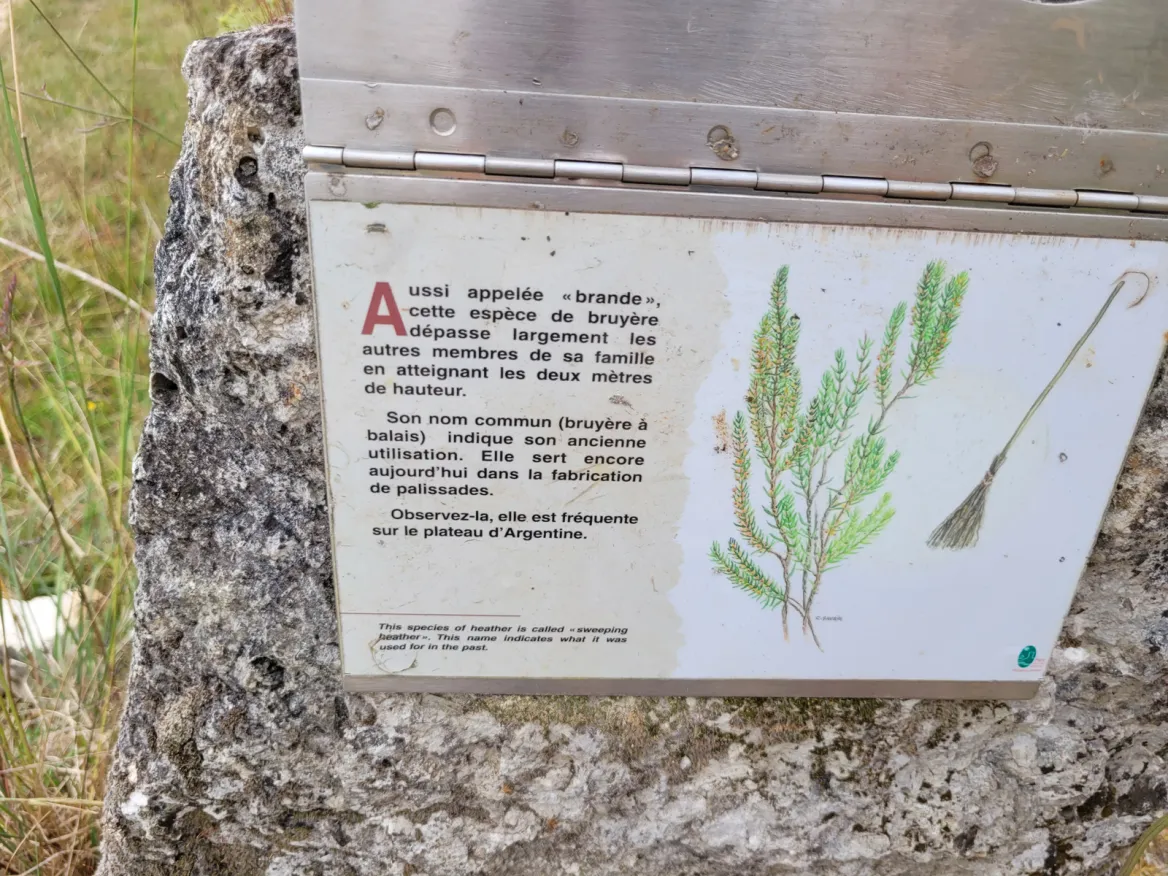 Argentine Plateau