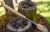 Périgord truffle digging tool