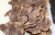Périgord truffle shavings