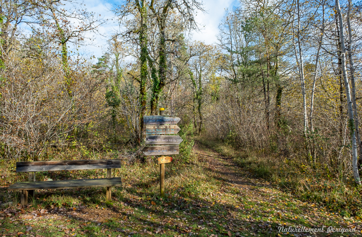 beacon causse de l'isle