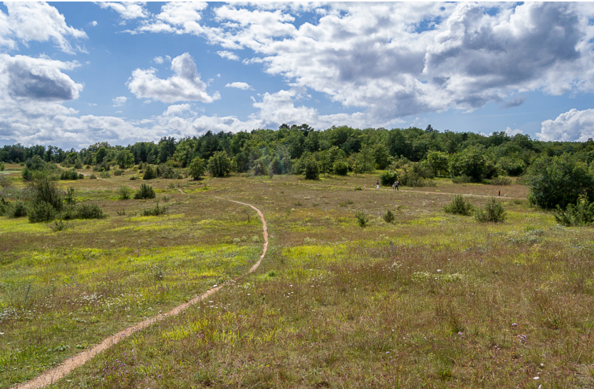 Causse de l'isle walk