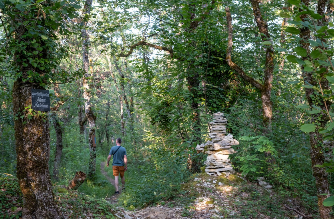 walker causse de l'isle