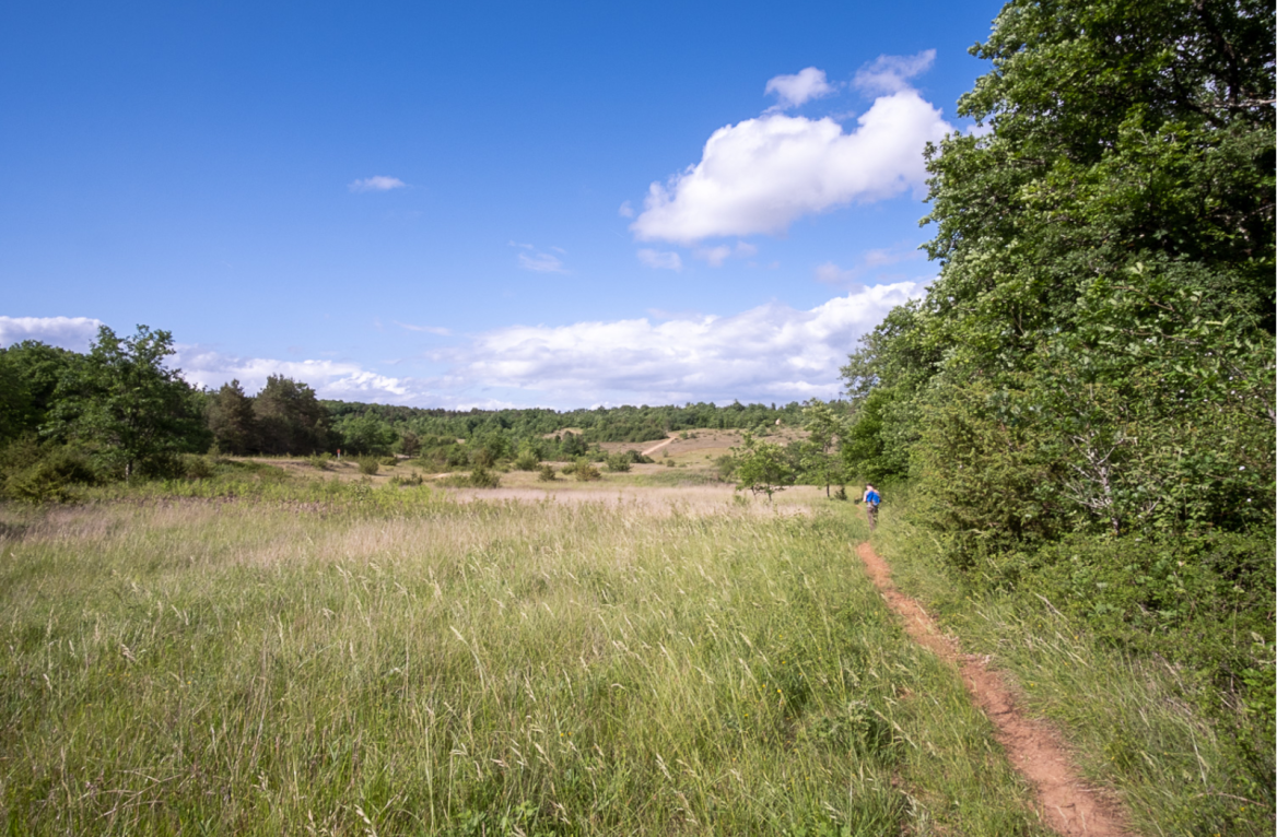 path causse de l'isle