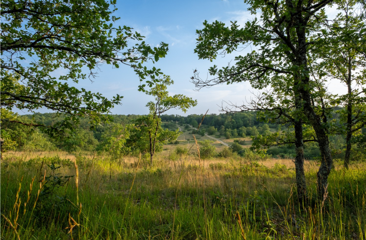 landscape causse de l'isle