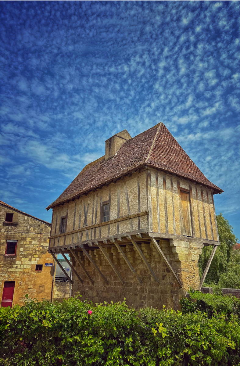 Terra Aventura Périgueux