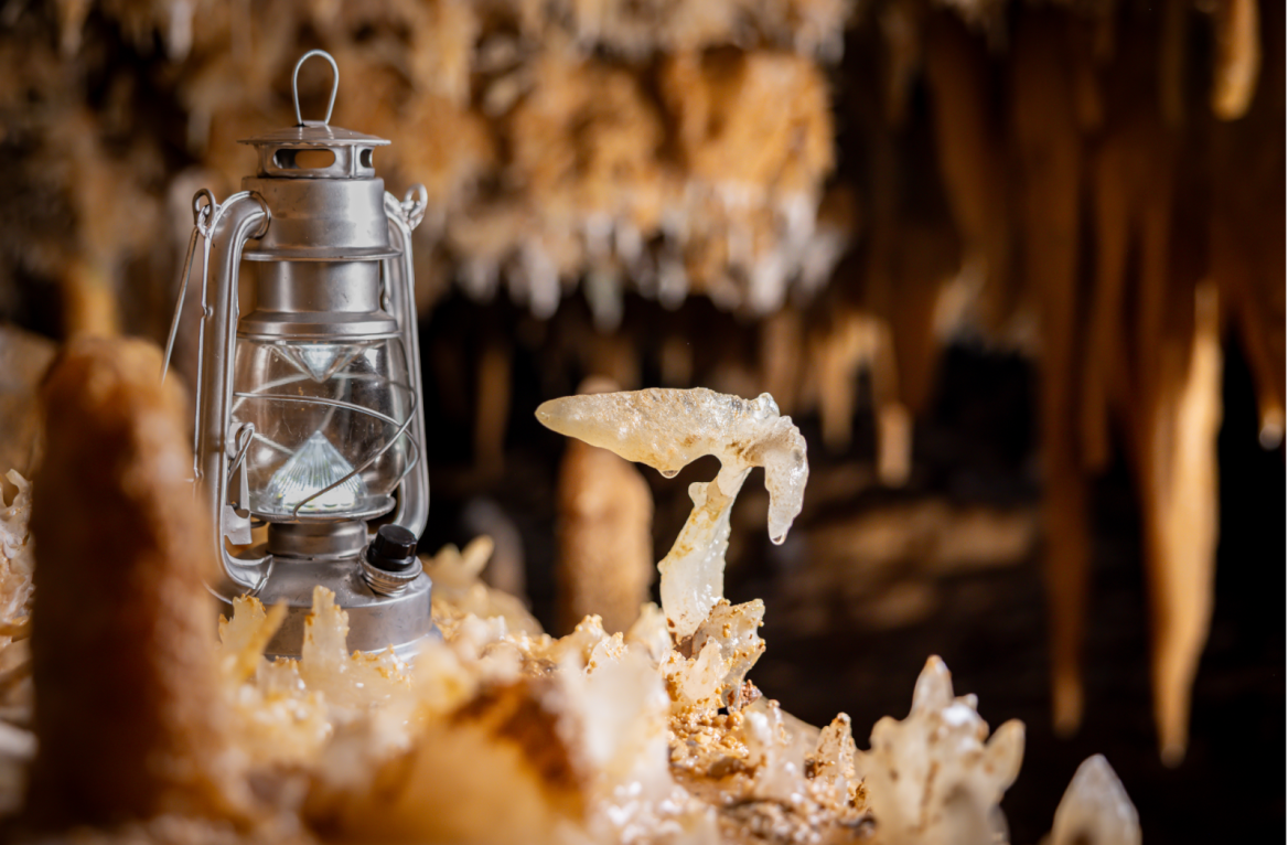 Grand Roc Caves