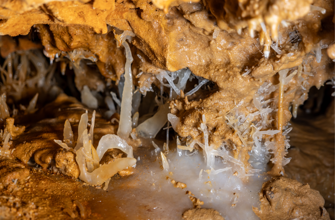 Grand Roc Caves