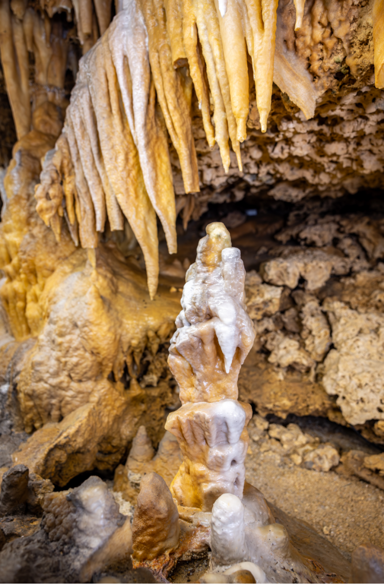Grand Roc Caves