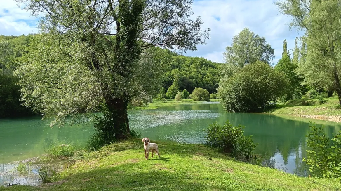 La Grande Prade campsite in the Black Perigord