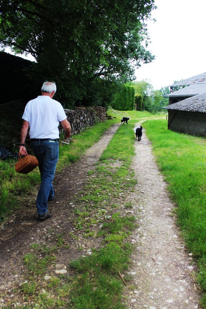 La truffière de Péchalifour