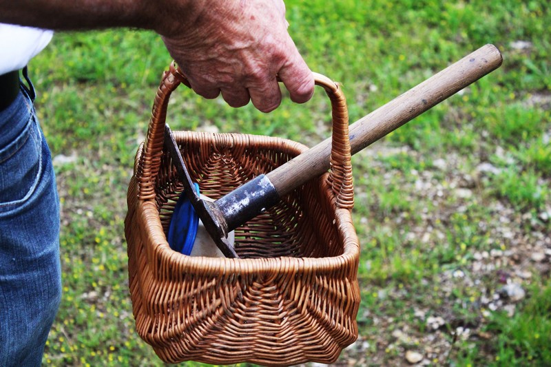 La truffière de Péchalifour