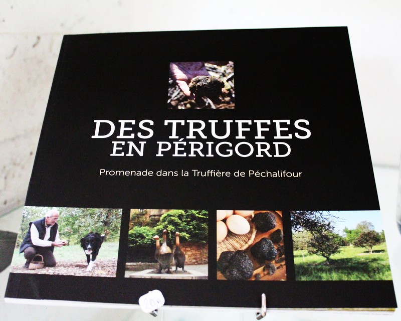 La truffière de Péchalifour