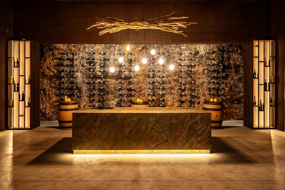 Verdots vineyard