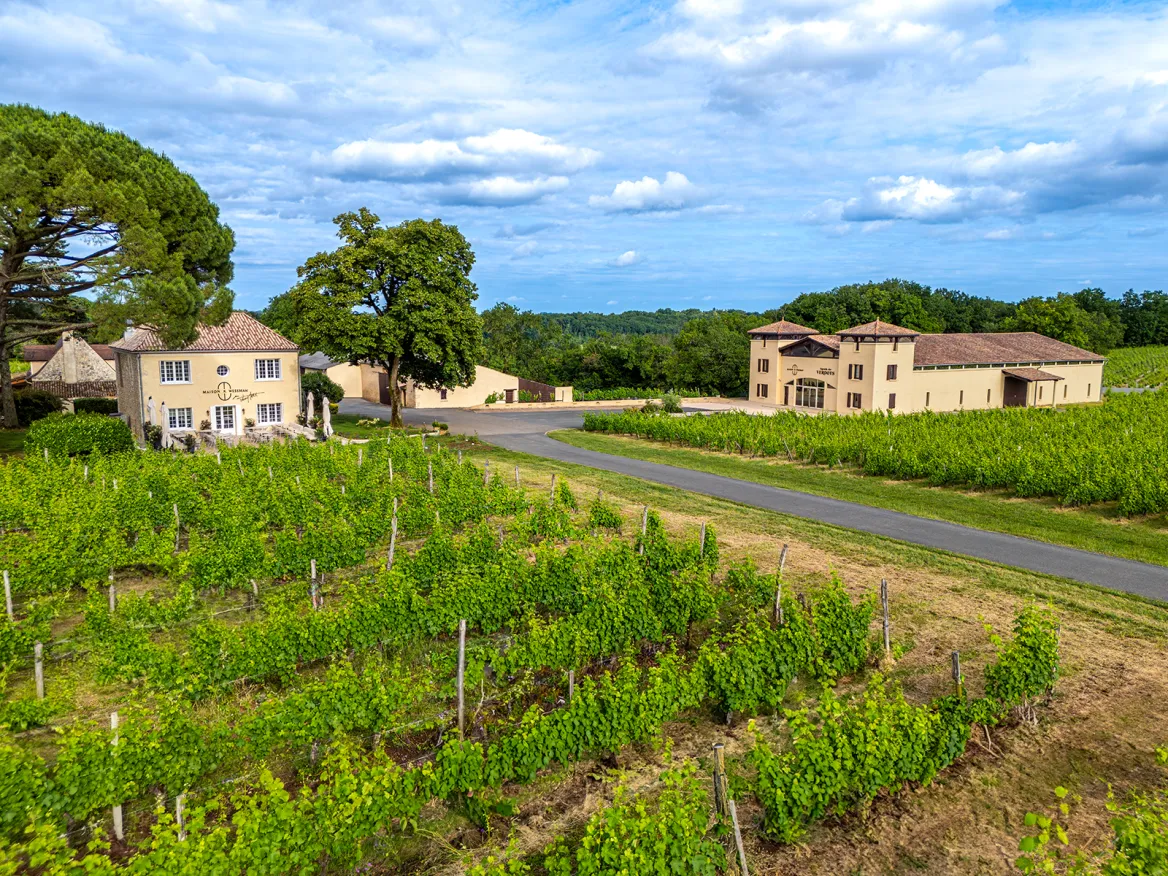 Verdots vineyard