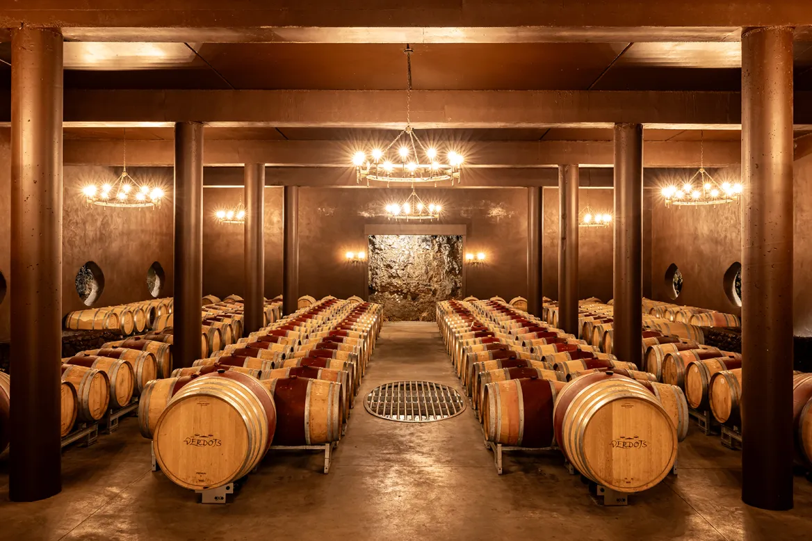 Verdots vineyard