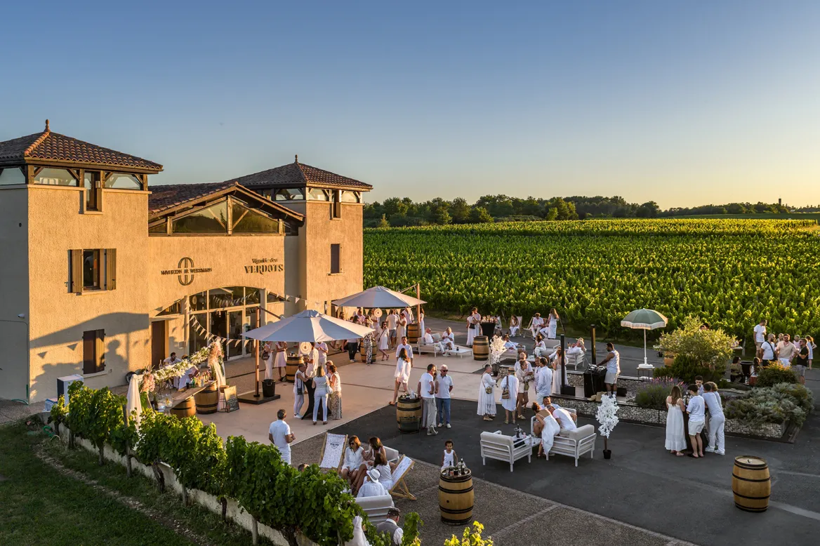 Verdots vineyard