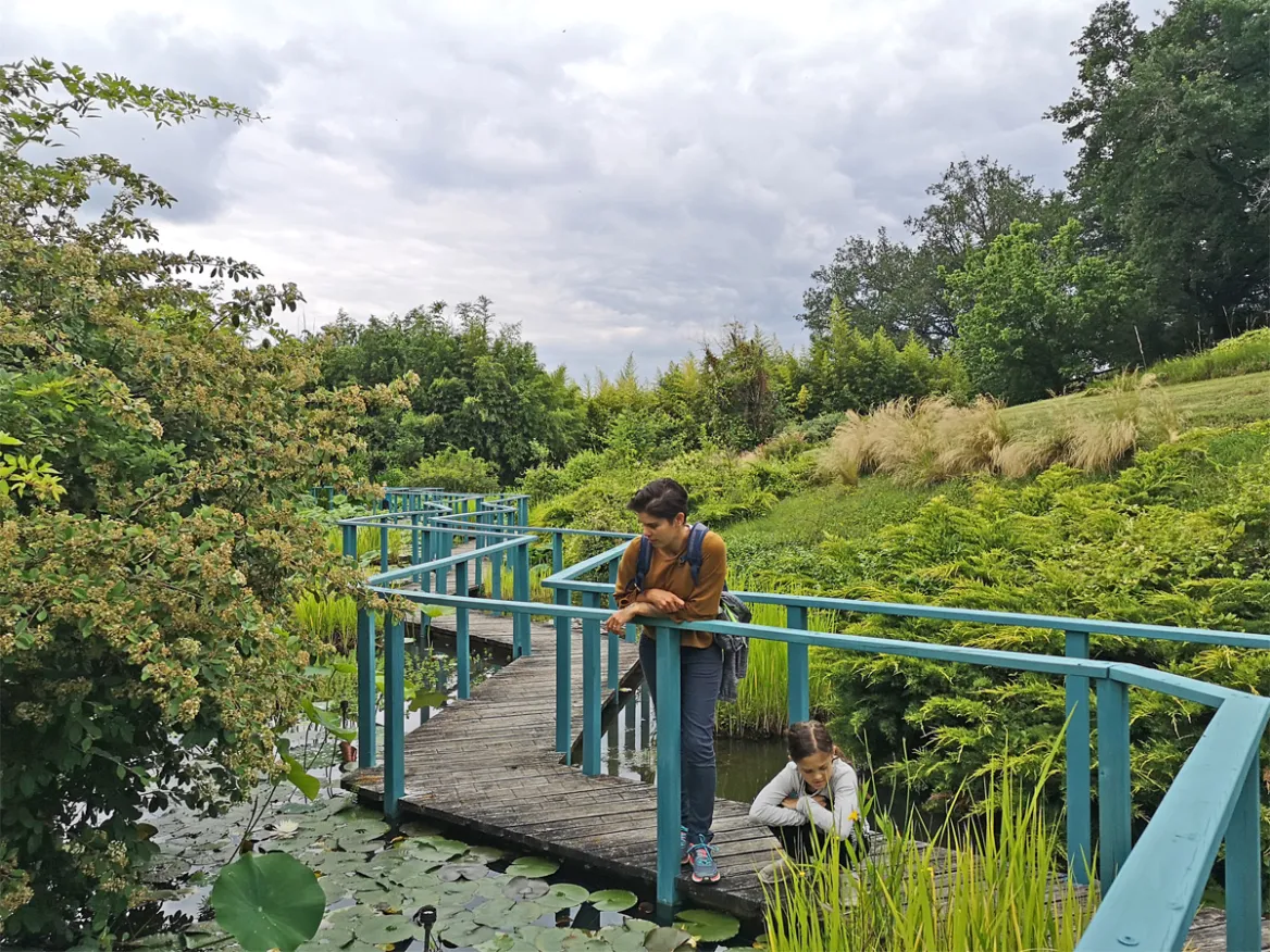 Water gardens