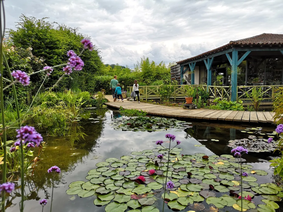 Water gardens