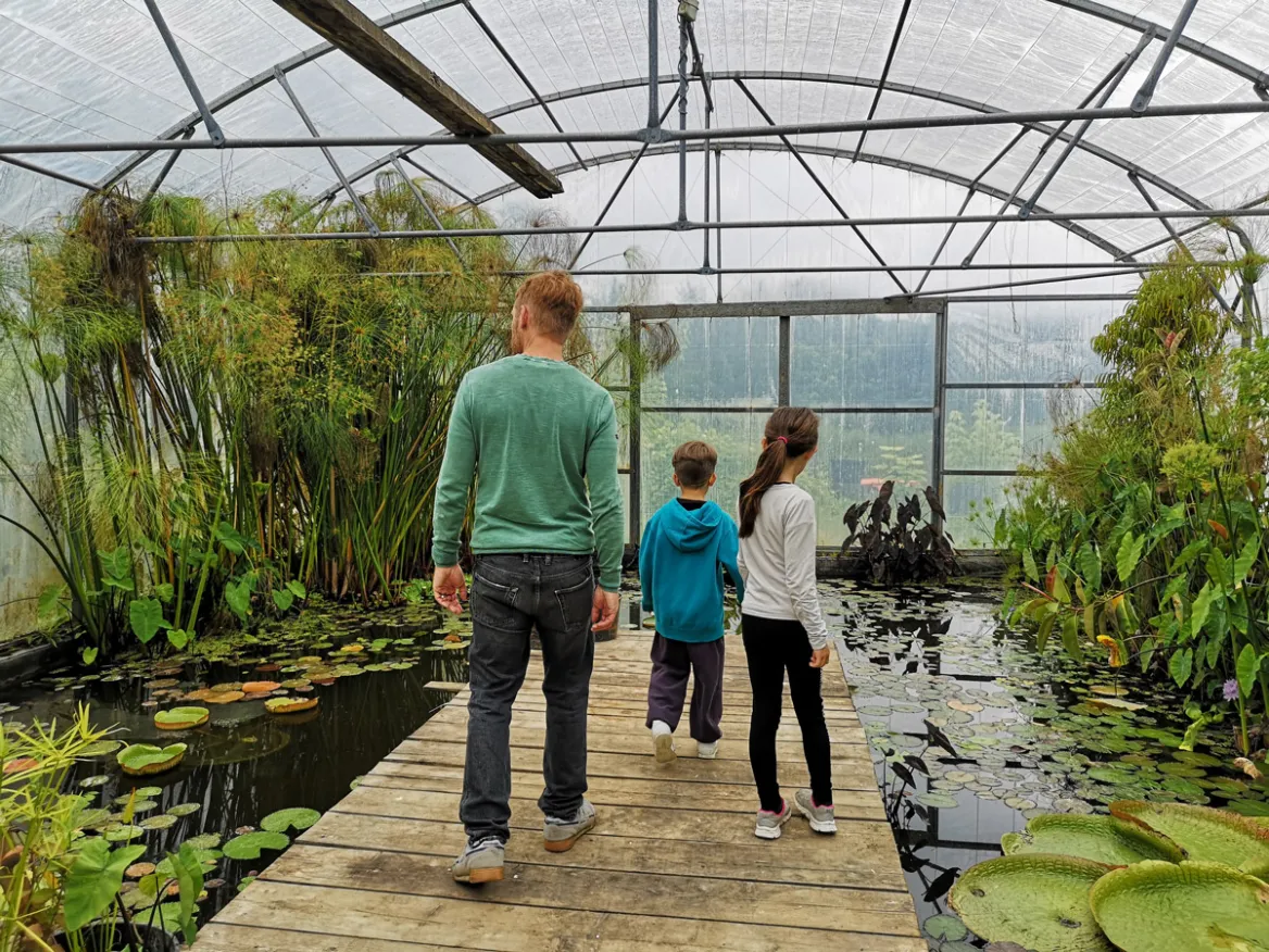 Water gardens