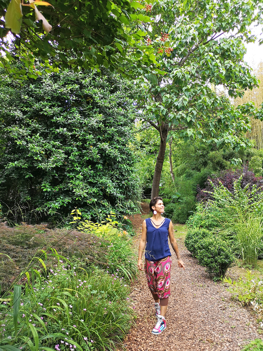 The bamboos of Planbuisson