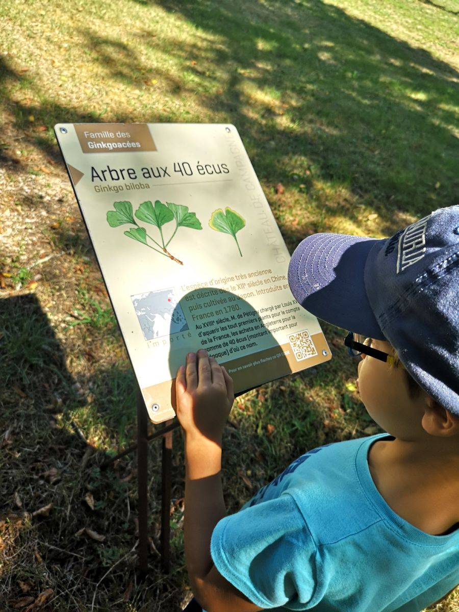 Flora interpretation panel