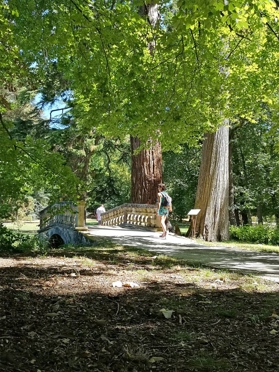 garden of the Château de Campagne