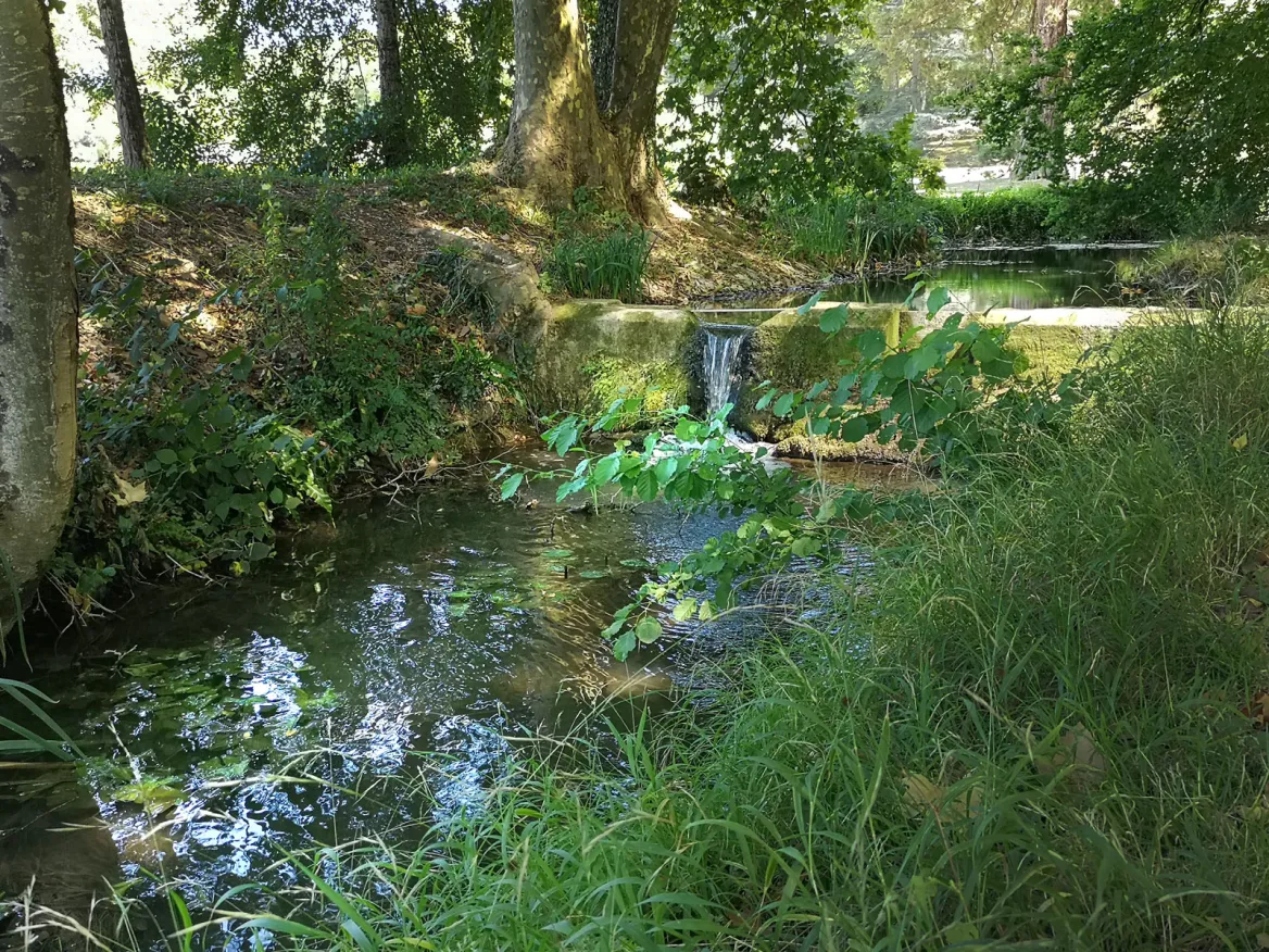 Stream