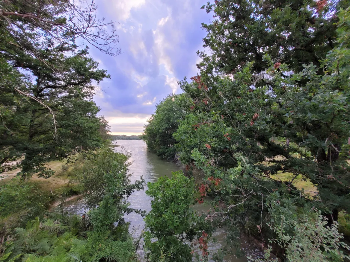 The Great Pond of Jemaye