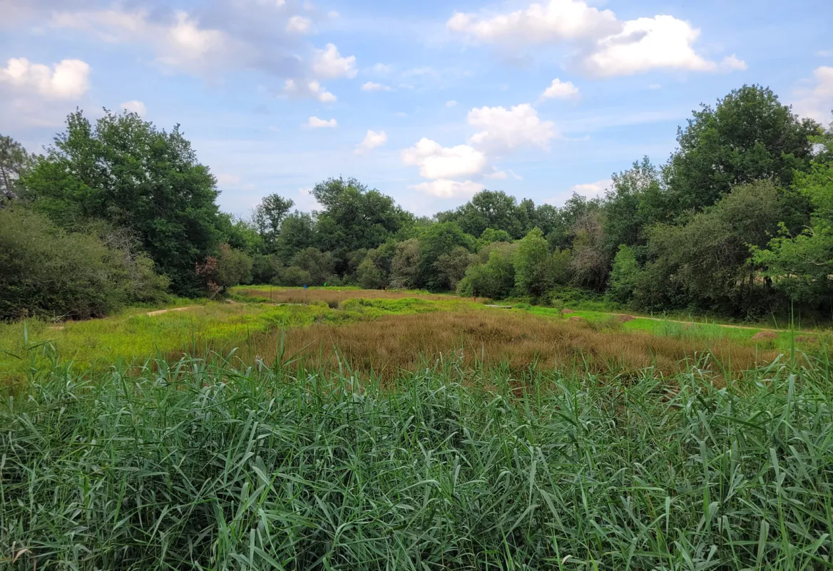 The Great Pond of Jemaye
