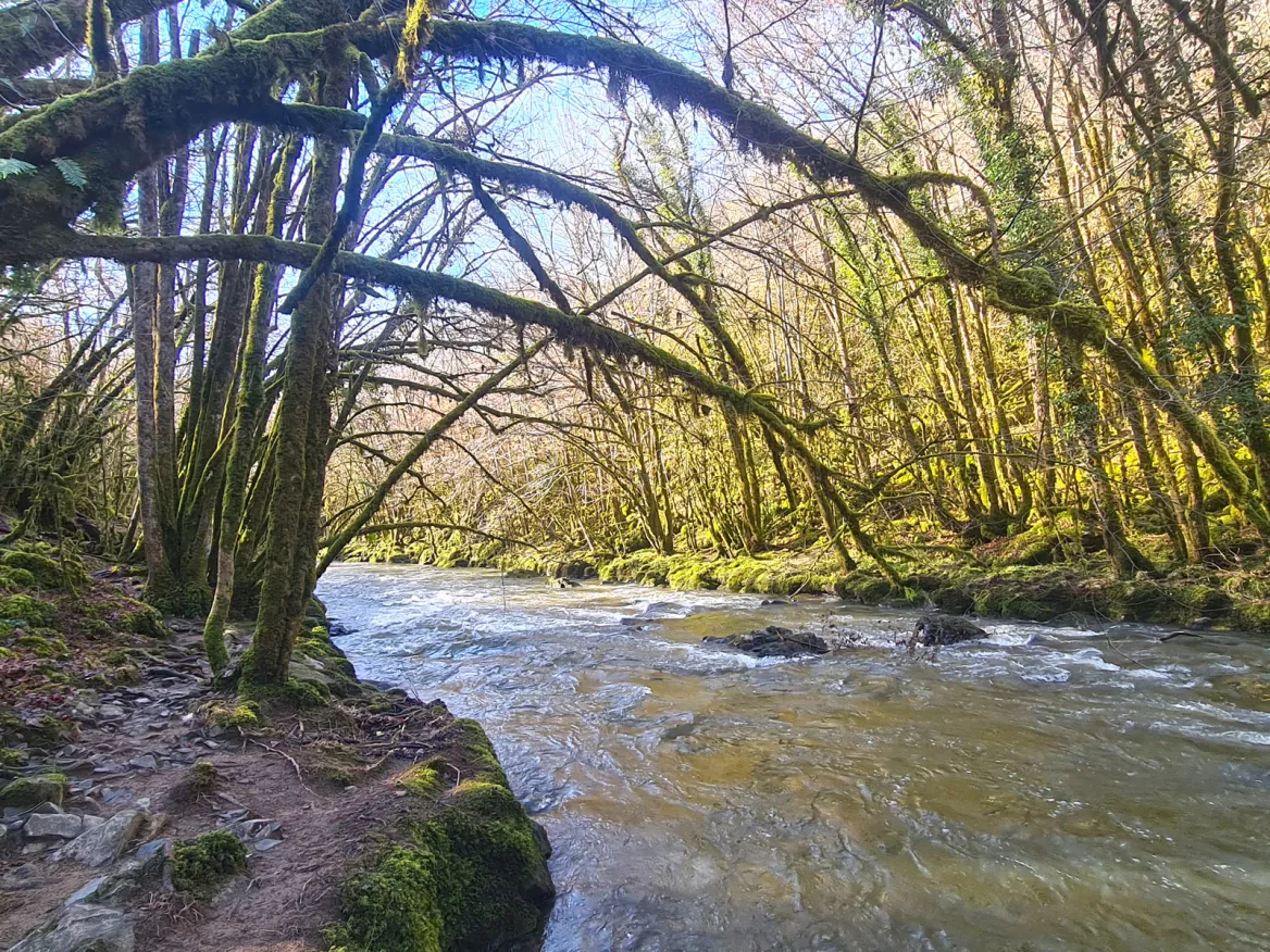 The Auvézère Gorges