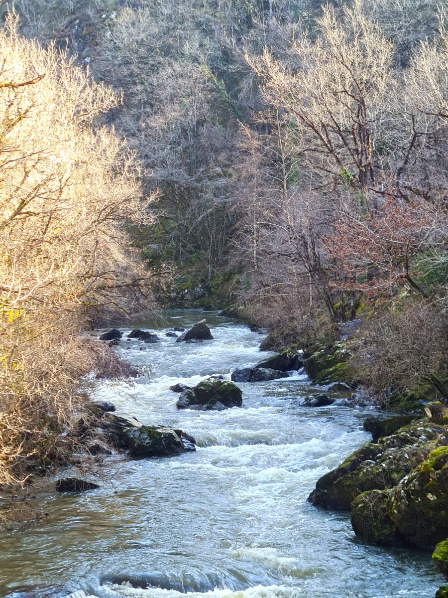 Footbridge N°2 The Auvézère Gorges