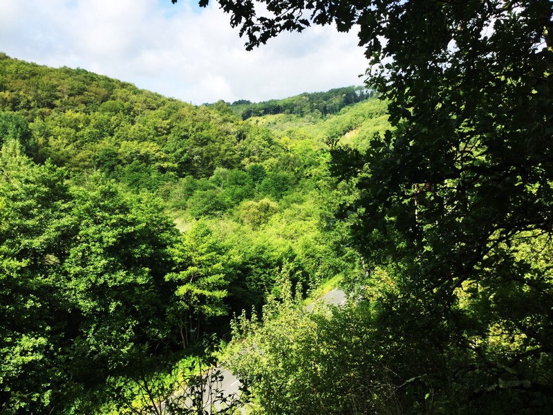 Les grottes du Roc de Cazelle